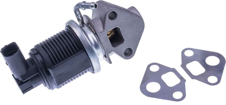 EGR Valve E400070