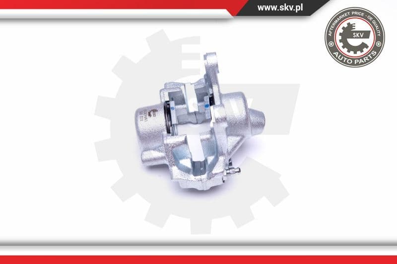 Brake Caliper 45SKV493