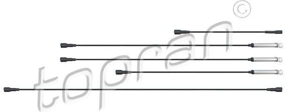 Ignition Cable Kit 202 517