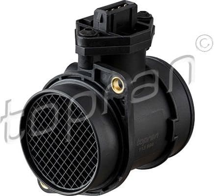 Mass Air Flow Sensor 113 894