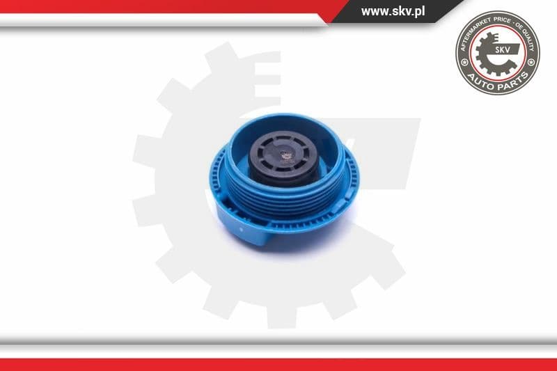 Cap, coolant tank 61SKV011 - image 2