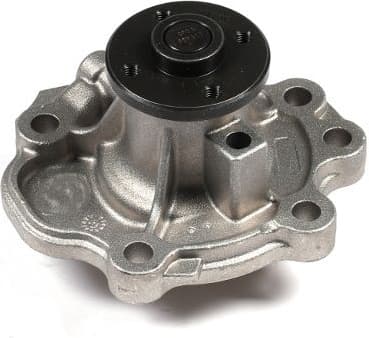 Water Pump, engine cooling P366