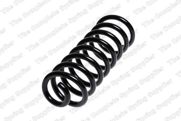 Suspension Spring 4217001