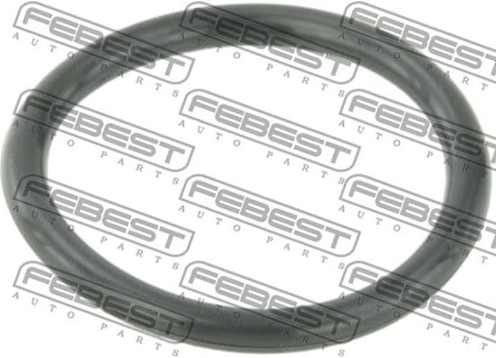 Gasket, coolant flange RINGWH-B5