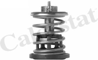 Thermostat, coolant TH7382.88