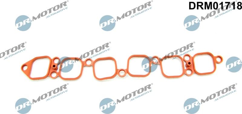 Gasket, intake manifold DRM01718