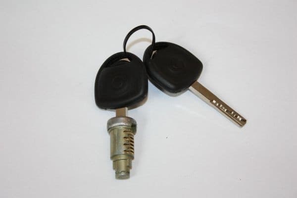 Lock Cylinder 100080710