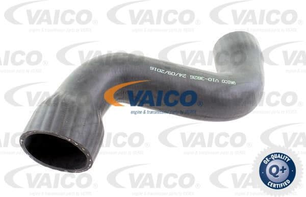 Charge Air Hose Q+, original equipment manufacturer quality V10-3826