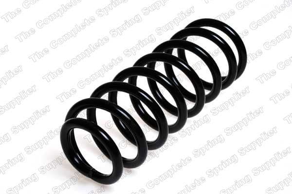 Suspension Spring 4204203