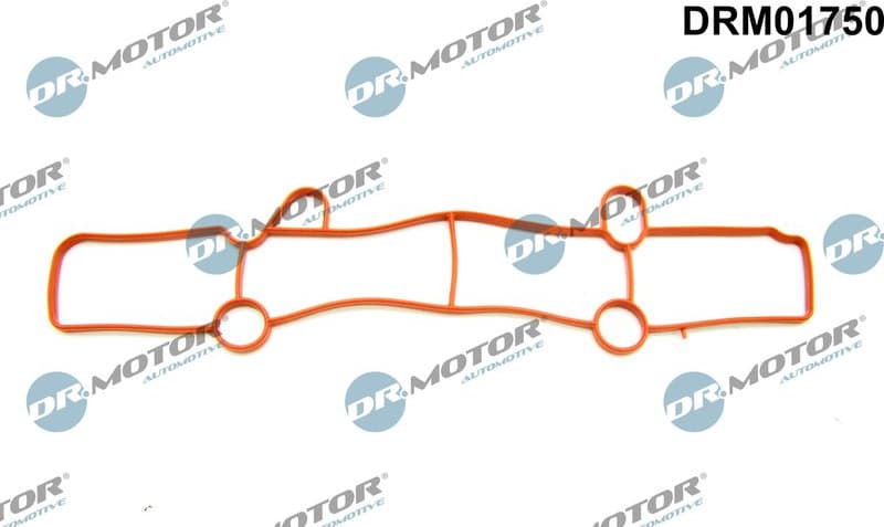 Gasket, intake manifold DRM01750