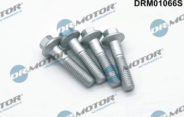 Screw, injection nozzle holder DRM01066S