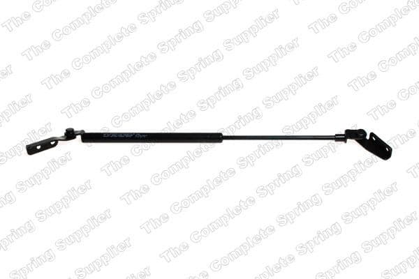 Gas Spring, boot/cargo area 8162024