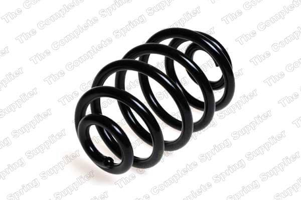 Suspension Spring 4208423