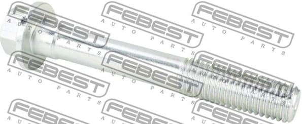 Bolt, control arm 2198-002