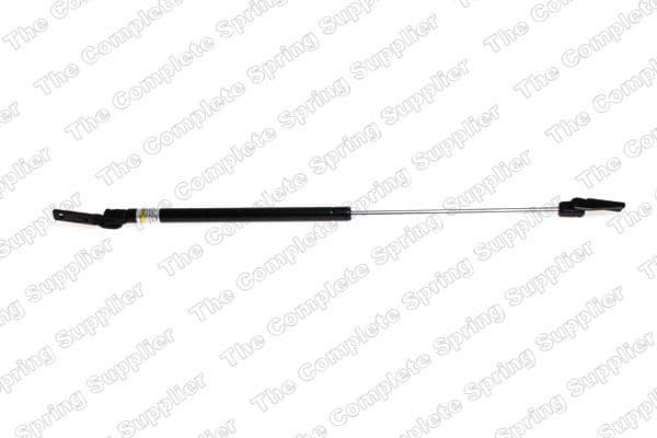 Gas Spring, boot/cargo area 8162019