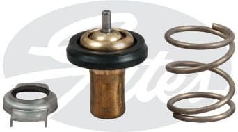 Thermostat, coolant TH49288G1