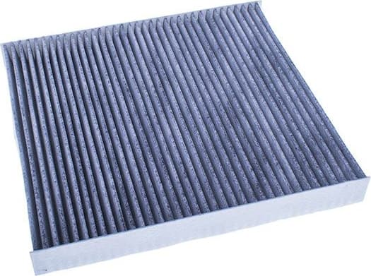 Filter, cabin air M110961K