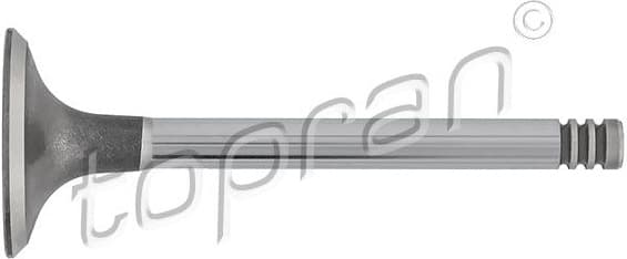 Intake Valve 101 516