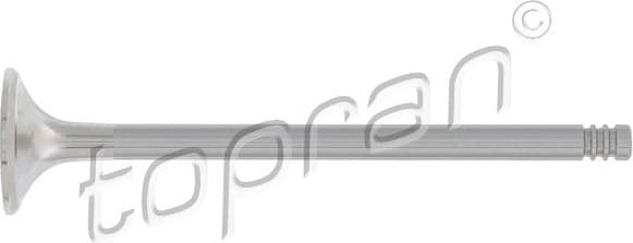 Exhaust Valve 110 208