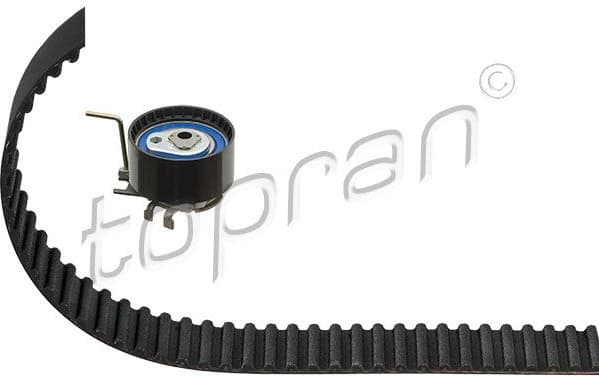 Timing Belt Kit 701 015