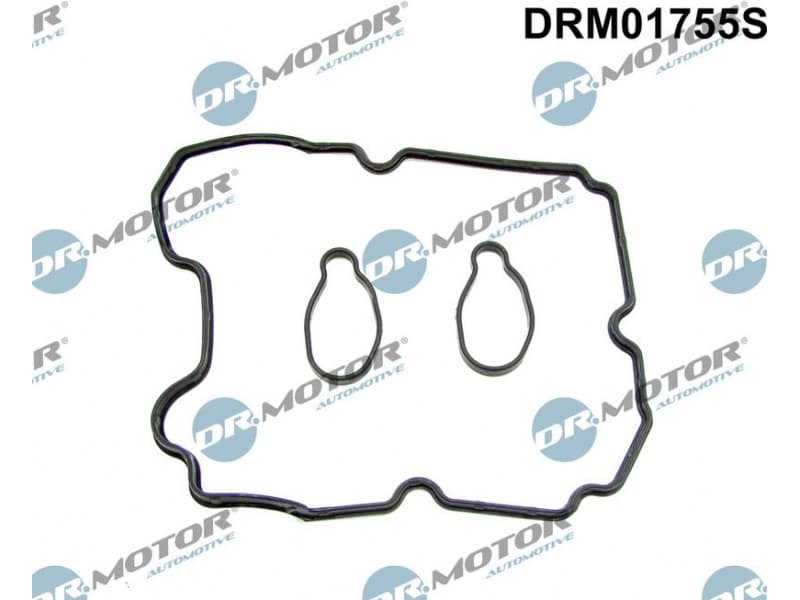 Gasket Set, cylinder head cover DRM01755S