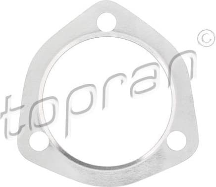 Gasket, exhaust pipe 100 187