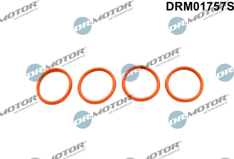 Gasket Set, intake manifold DRM01757S