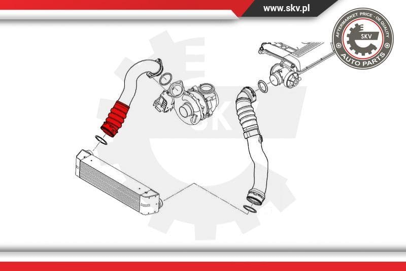 Charge Air Hose 24SKV542 - image 4