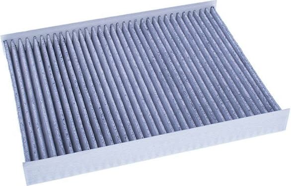 Filter, cabin air M110981K