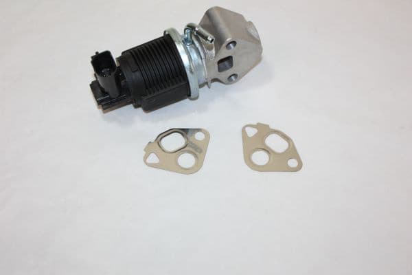 EGR Valve 140010810
