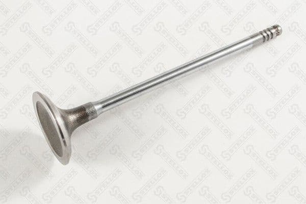 Intake Valve 01-24370-SX