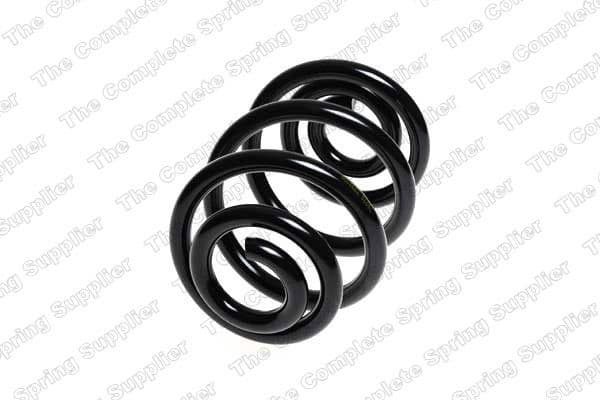 Suspension Spring 4208452