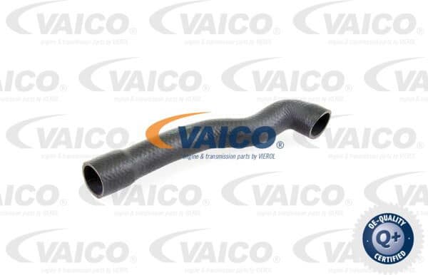 Radiator Hose Original VAICO Quality V201239