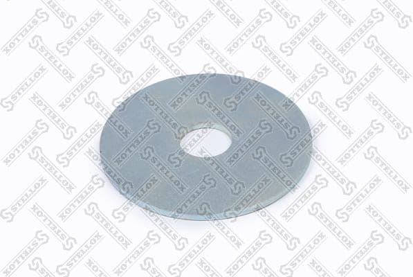 Washer 84-55066-SX