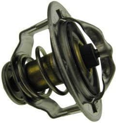 Thermostat, coolant 160099610