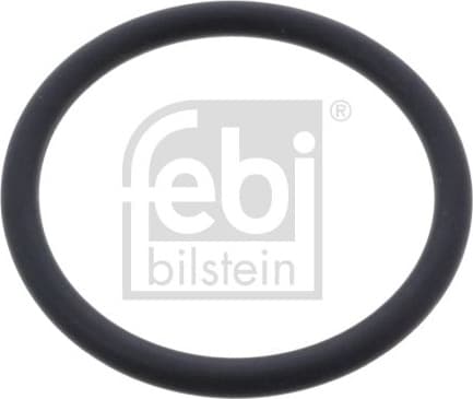 Seal Ring, coolant pipe 46585