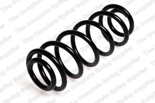 Suspension Spring 4204227