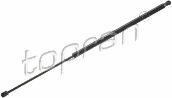 Gas Spring, boot/cargo area 600 194