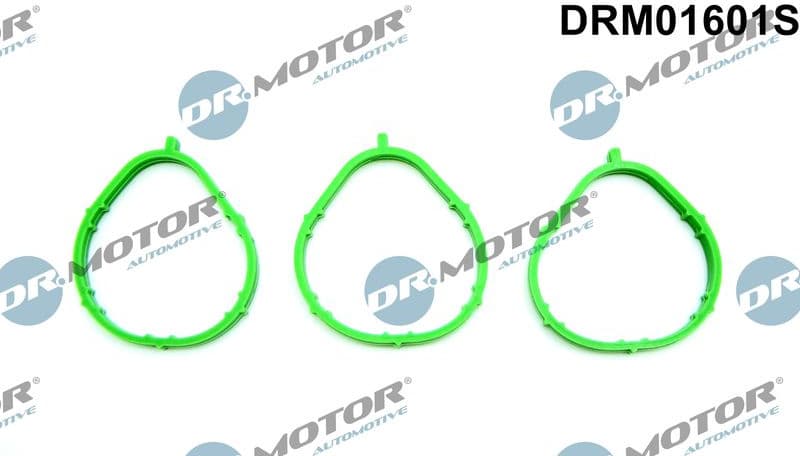 Gasket Set, intake manifold DRM01601S