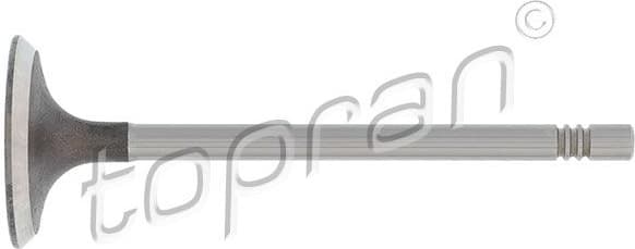 Intake Valve 110 195