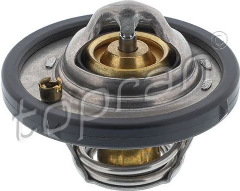 Thermostat, coolant 304 171