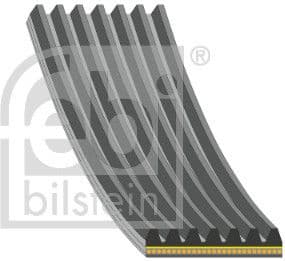 V-ribbed Belt 176365