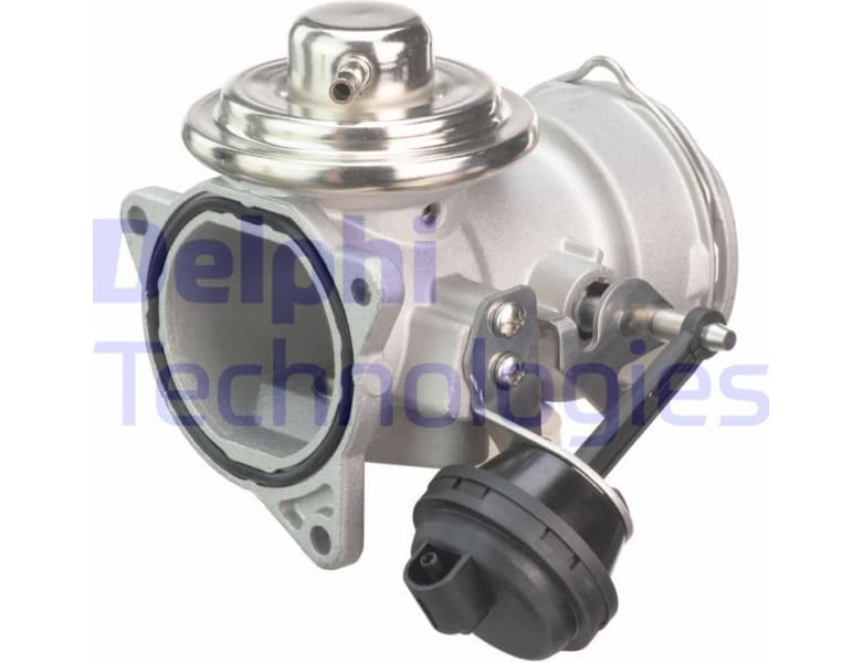 EGR Valve EG10420-12B1