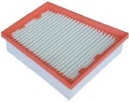 Air Filter A141389