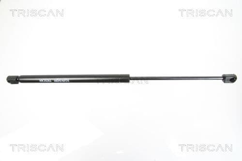 Gas Spring, rear window 8710 16251