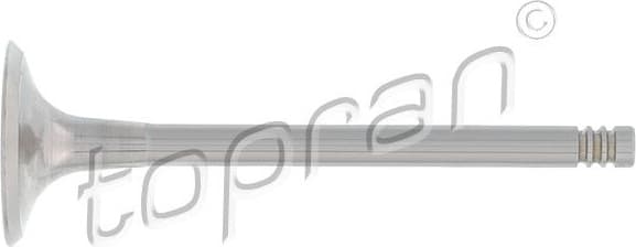 Intake Valve 110 200