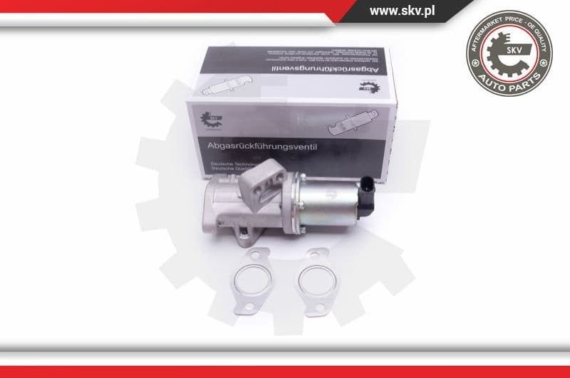 EGR Valve 14SKV212