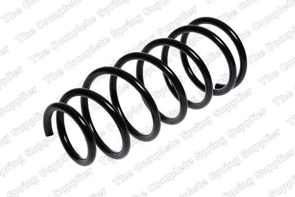 Suspension Spring 4244206
