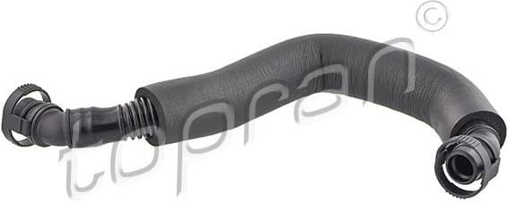 Hose, cylinder head cover ventilation 116 663