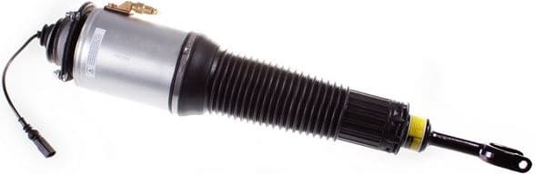 Air Suspension Strut DSA010G